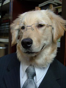 Will Writing Service